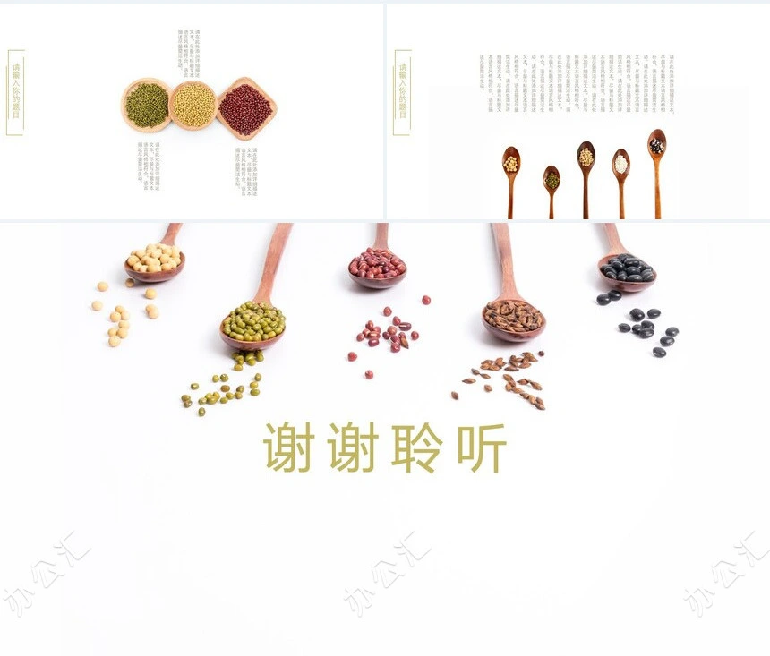 食品加工饮食类商业项目计划书PPT模板