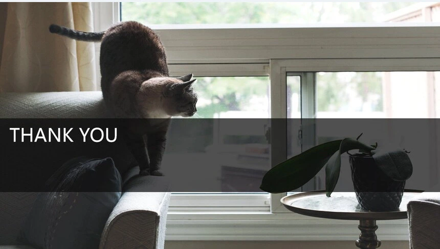 酷黑欧美风猫咪轻奢品牌宣传公司简介PPT模板