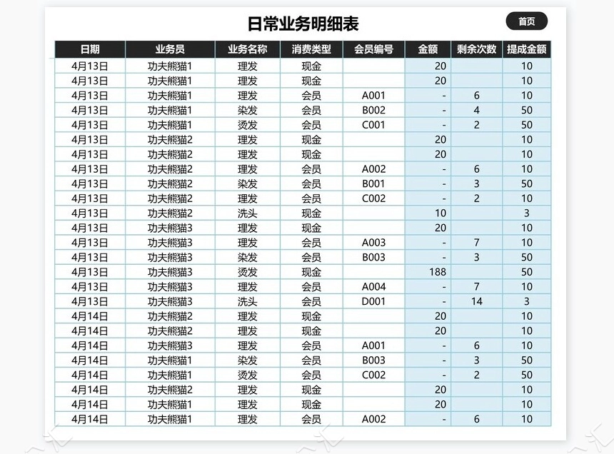 会员管理系统-会员散客管理明细查询