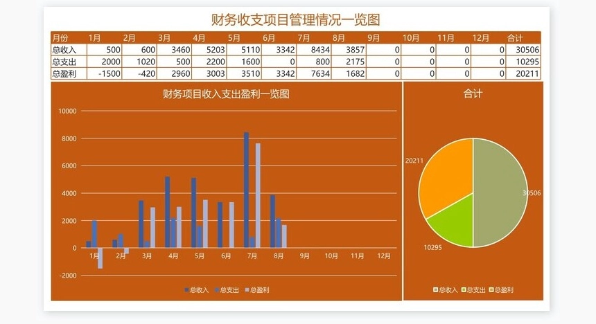 财务收支项目管理自动化报表系统