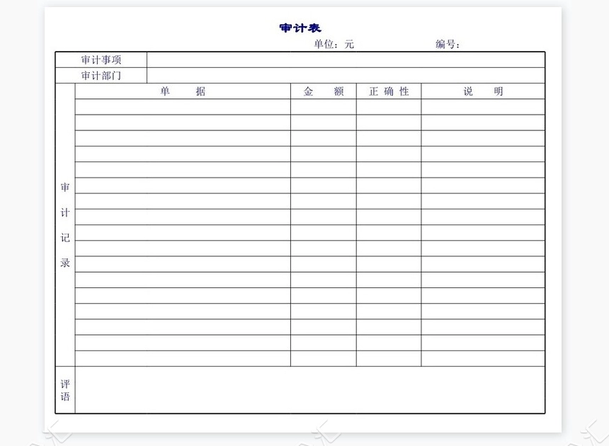 公司审计表报告单