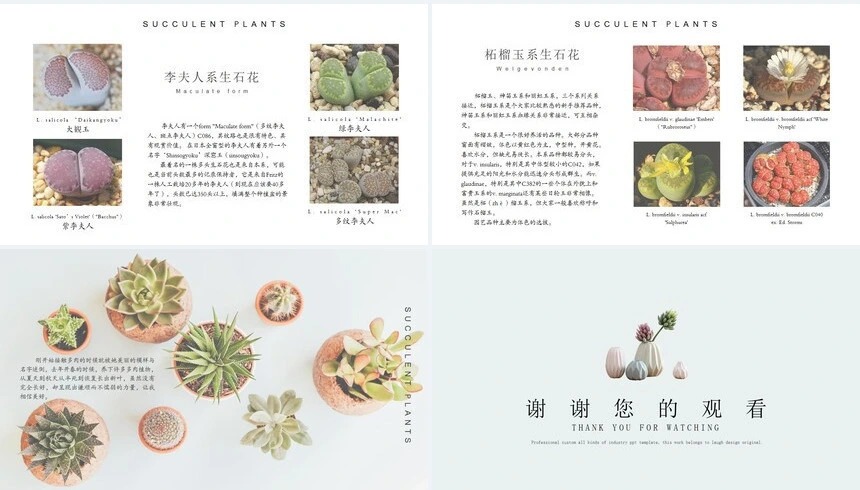 森系小清新通用PPT模板(19)